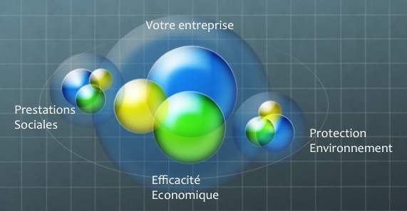 ecosysteme-sry-consulting