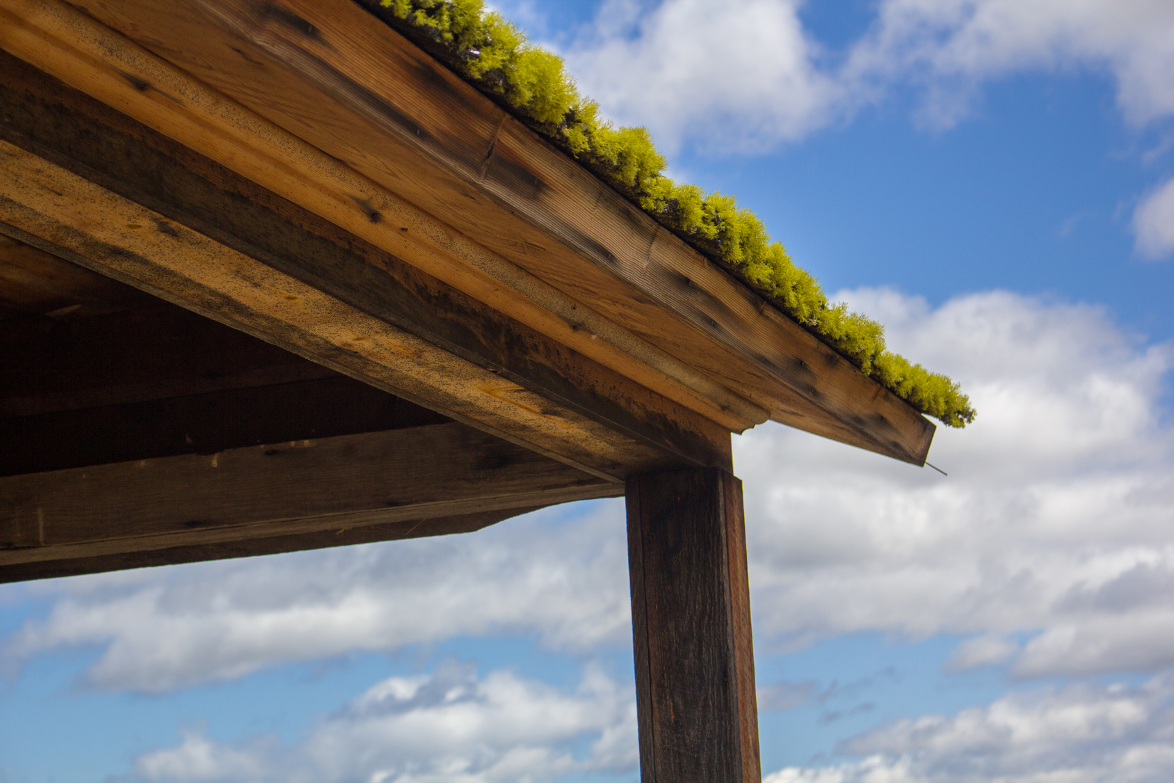 SRE, IDC, villa, genève